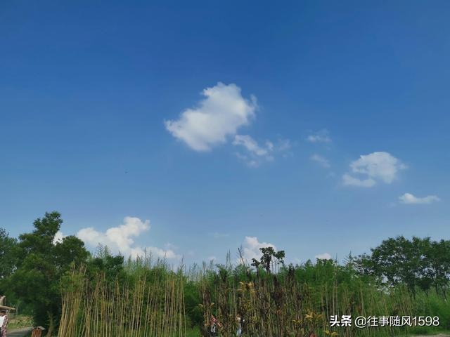 有一种治愈叫天空蓝，治愈系天空蓝什么意思（治愈系的蓝色天空之城）