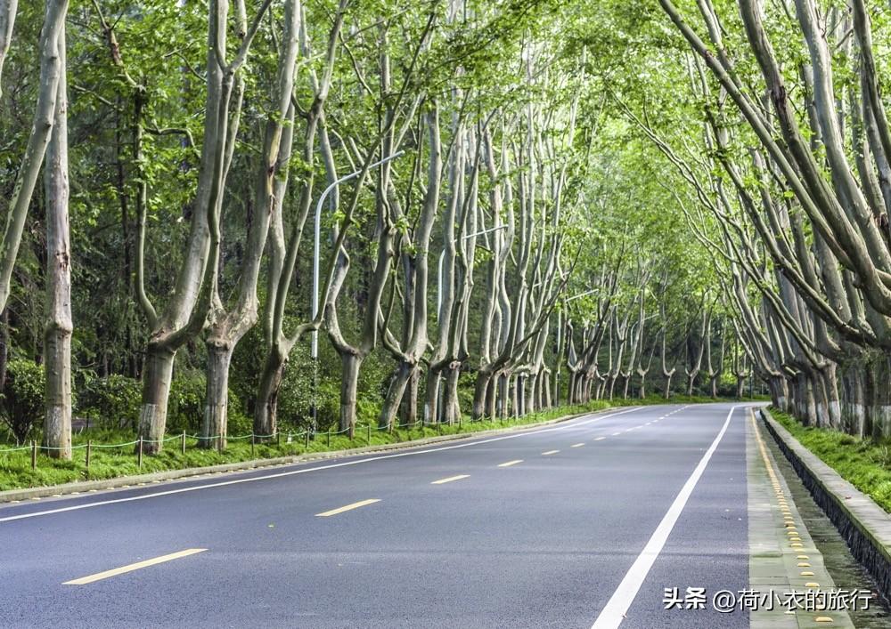 南京出发二日游，南京出发二日游攻略（南京最美的6个地方）