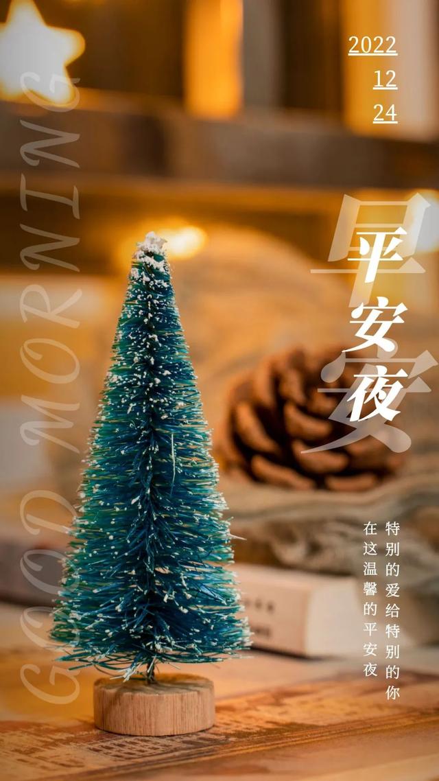 平安夜圣诞节的说说，平安夜圣诞节说说女朋友（平安夜朋友圈文案）