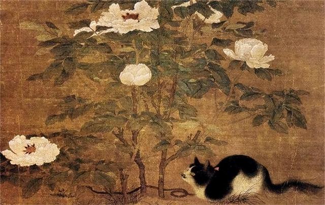 猫肉好吃吗，猫肉的十种吃法（原来李时珍已告诉我们答案）