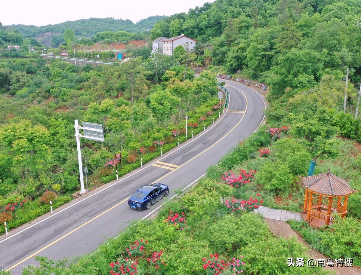 新兴县属于哪个市(新兴县最落后的一个镇)