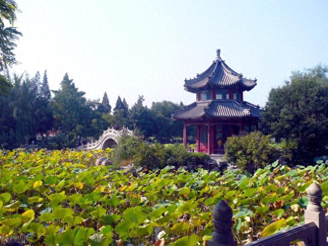 保定古莲花池游玩攻略：来一场说走就走的文化之旅