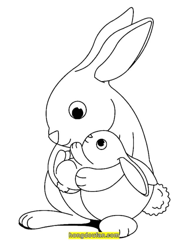 耳朵简笔画图片，怎么画耳朵的简笔画（9张大眼睛长耳朵的大门牙兔子卡通简笔画）
