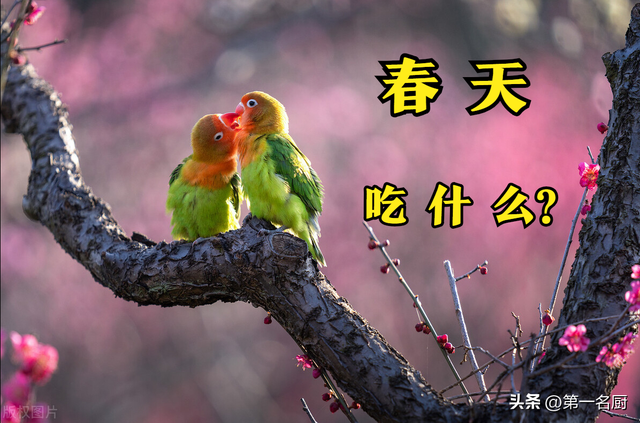 酱焖鲫鱼怎么做，伏天吃啥水果祛湿（别忘吃“河中第一鲜”）