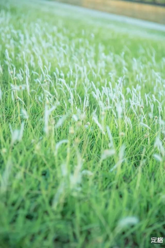 深圳一日游免费必去的地方，深圳最适合一日游的15个免费景点（深圳10个小众打卡地）