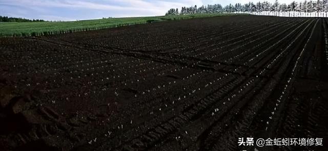 土地性质分类和用途，怎么查个人土地信息（附中国土壤的分类及分布）