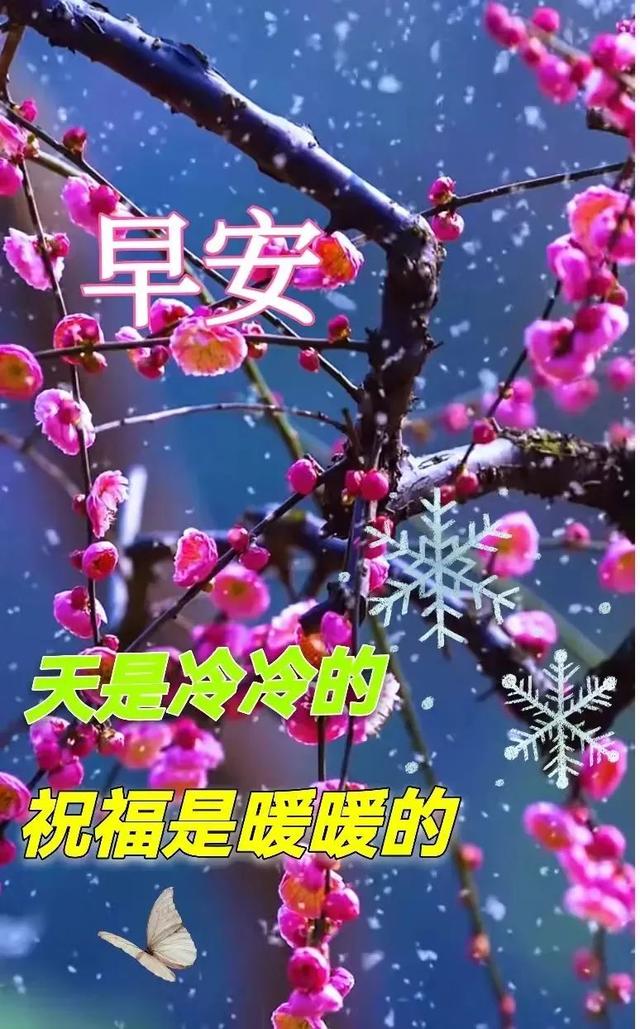 鼓励男人的暖心句子，最能暖到男人心的鼓励话（早安心语，正能量霸气语录说说）