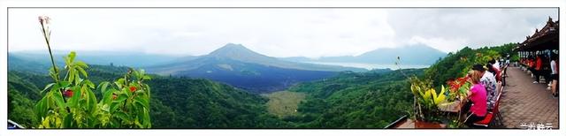 猫屎咖啡的价格，猫屎咖啡多少钱一杯（印尼巴厘岛旅游）