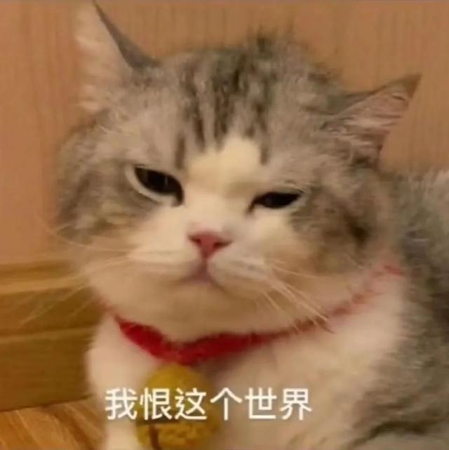 十年脑血栓的沙雕网名，十年脑血栓的沙雕群名（那些没有十年脑血栓想不出的沙雕文案2.0）