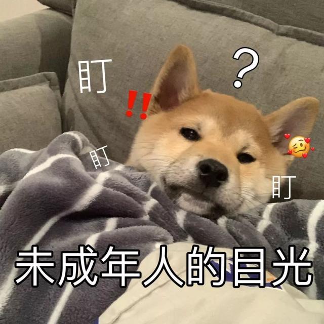 狗狗能吃糯米吗，狗狗最忌讳吃什么食物（这些东西可要小心了）