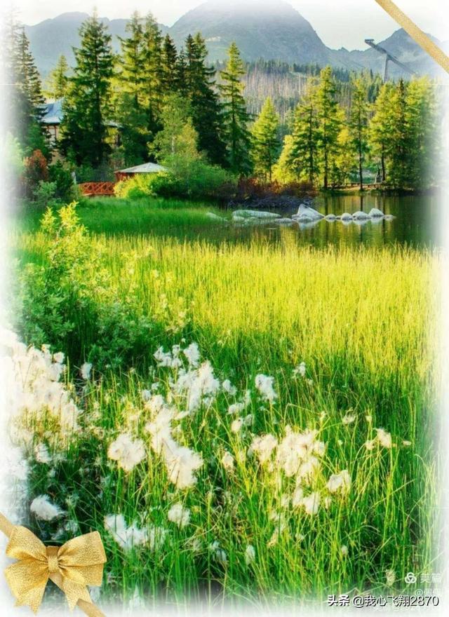 等待绽放作文高三700字 等待绽放的优秀作文，等待绽放作文高三700字（漫画作文：静待花开）