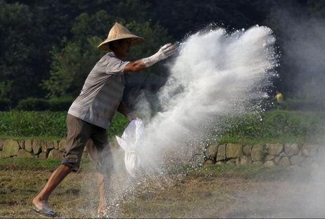 氧化钙的俗称，氢氧化钙和氧化钙的俗称（“生石灰”是如何解决土壤酸化、土壤病害的）