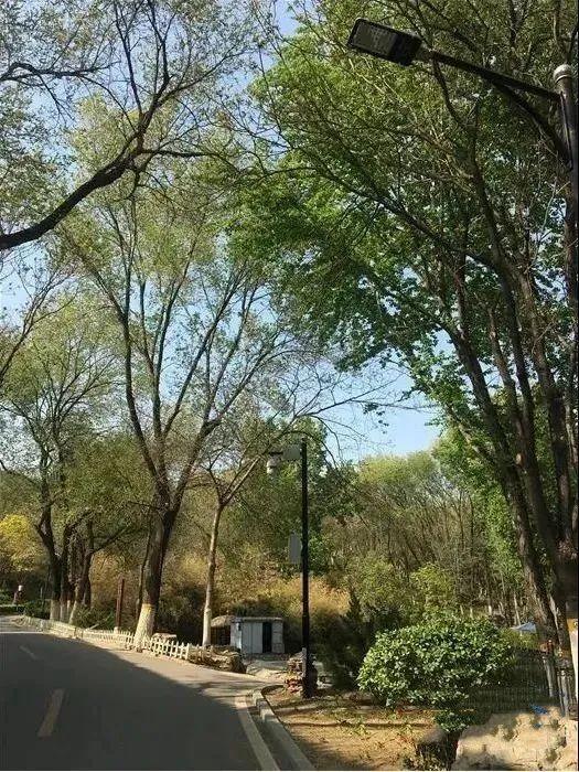 北京带孩子玩的地方推荐，北京小宝宝周末遛娃必备好去处（带娃去京郊这4个天然氧吧游山戏水~）