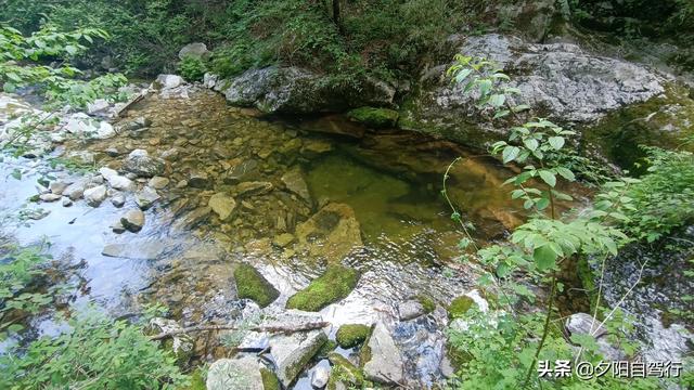 朱雀森林公园旅游攻略一日游，大山深处的朱雀国家森林公园