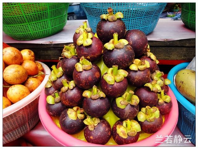 猫屎咖啡的价格，猫屎咖啡多少钱一杯（印尼巴厘岛旅游）