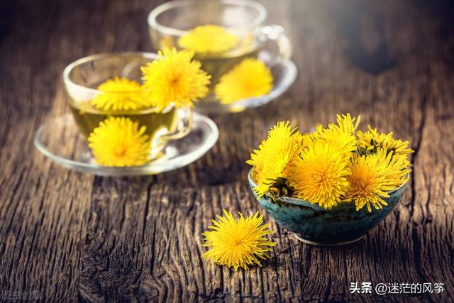 努力向上的句子，关于努力向上的句子（努力活成自己想要的样子）