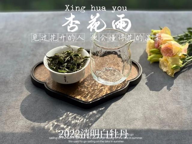 西湖龙井茶价格多少钱一斤，西湖龙井茶多少钱一斤（99元买遍西湖龙井、金骏眉、正岩肉桂）