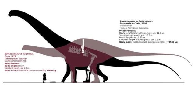 身体最长的恐龙是，身体最宽的恐龙（恐龙的体型为什么那么大）