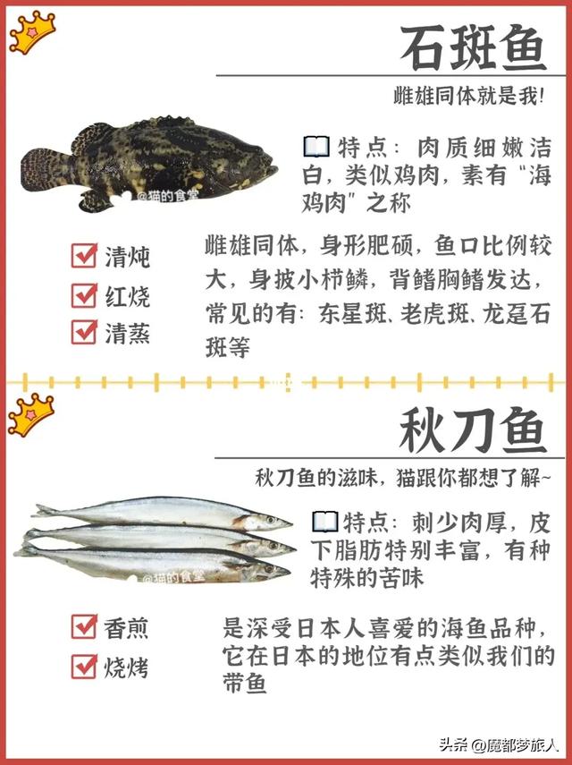 常见的海鱼120种，科普下常见海鱼品种。
