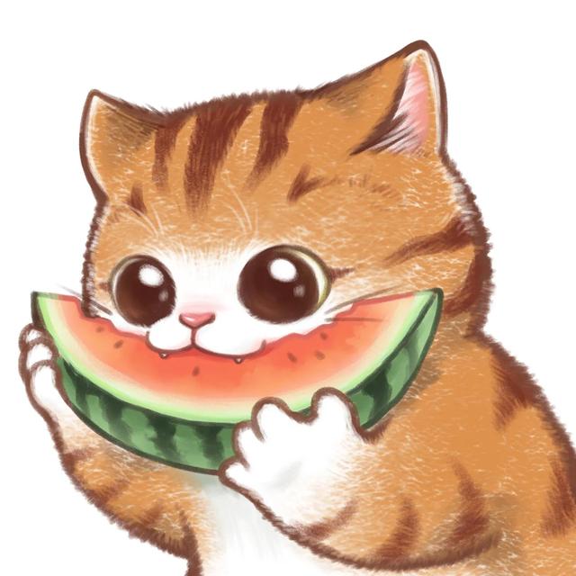 沫兮 卡哇伊可爱猫咪头像微信，沫兮 卡哇伊可爱猫咪头像（生活会奖励你一个新开始）
