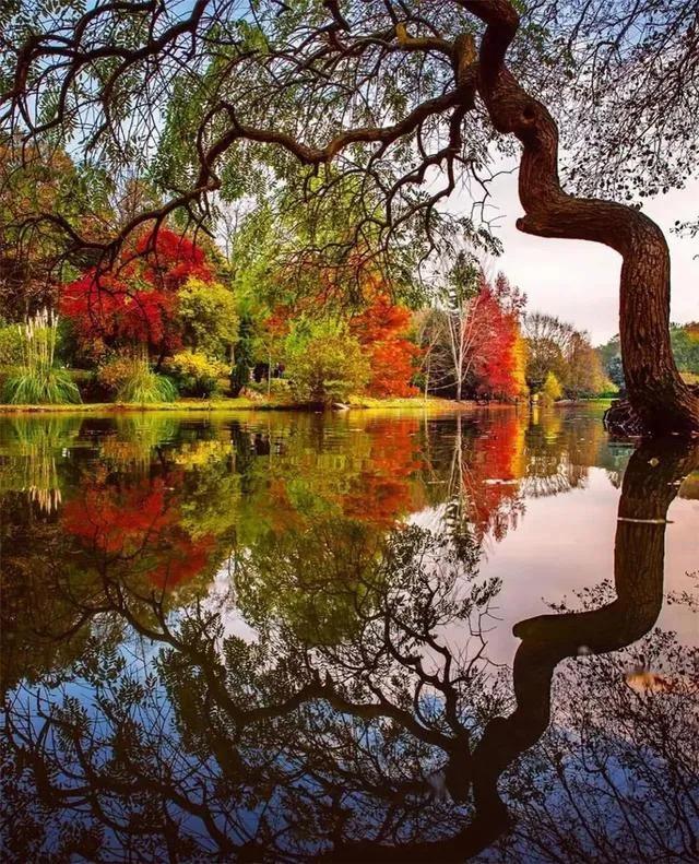 秋天是一个什么样的季节，秋天是一个什么样的季节写一段话（分享绝美秋色：叠翠流金）