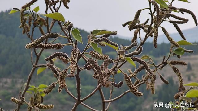 厦门龙洞风景区，厦门龙洞风景区门票多少（厦门龙洞：罕见的峡谷地貌）