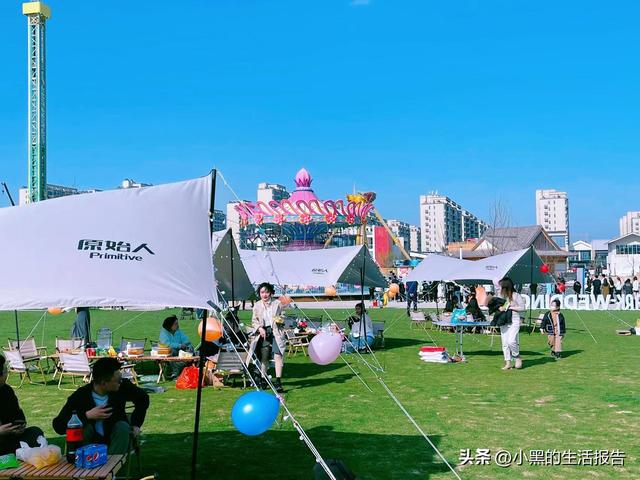 江苏盐城大丰荷兰花海门票，五一就去这里！儿童友好型