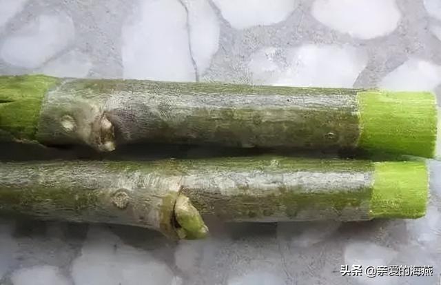 盘点小时候你没有玩过的玩具，农村孩子自制的33种难忘的玩具