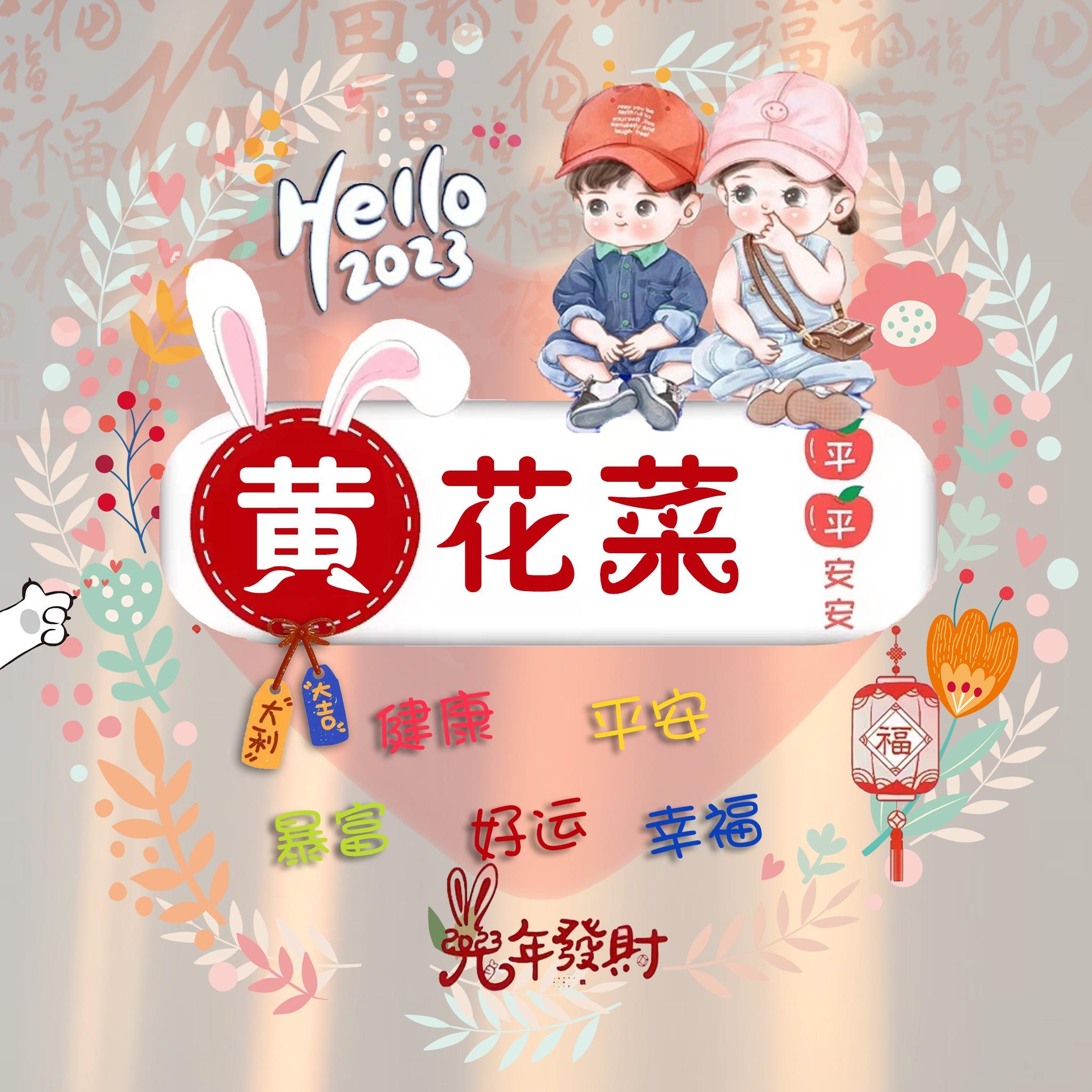 情侣名字一对简洁，情侣名字一对简洁可爱（2023兔年可爱情侣谐音姓氏头像）