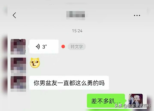 如何去除马赛克还原图片（马赛克遮挡照片还原）