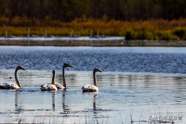 开心点，开心点点消红包版（希望这个夏天图片）