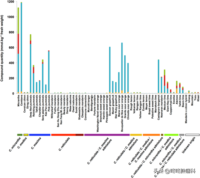 欧芹在中国叫什么，欧芹在中国叫什么名字（这些水果蔬菜吃药时也别吃）
