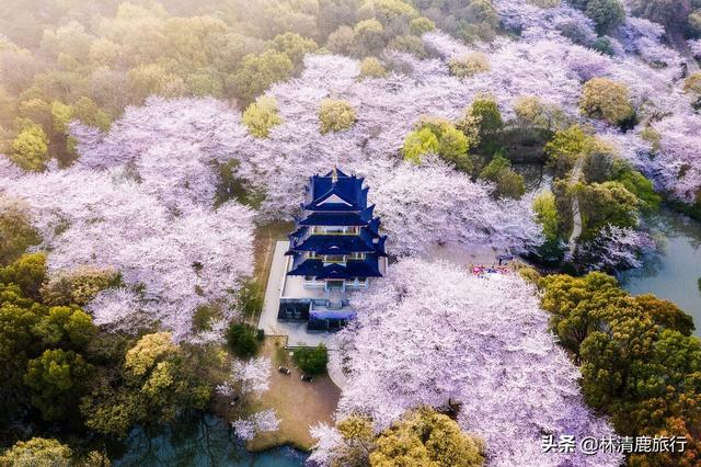 厦门旅游最佳月份，11月厦门旅游去哪里（中国3、4月份最值得去的10座城市）