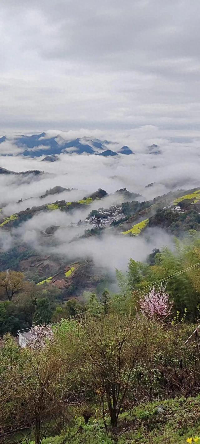 飞阅徽州之二百八十四篇，“为了石潭灿烂辉煌的春天。”