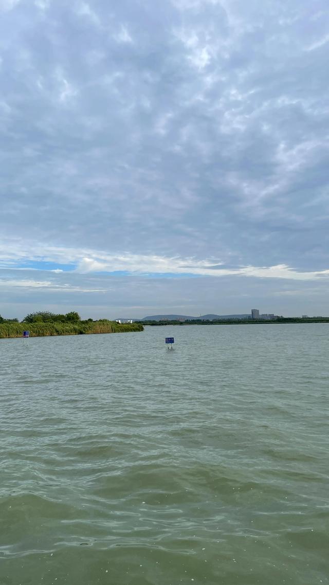 上海到青岛多远，上海到青岛的路程（上海青岛往返1400公里全程无高速沿途城市蜻蜓点水游）