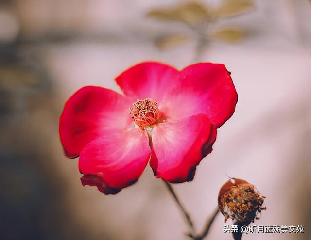 心疼关心一个人的句子，体谅和心疼对方的句子（秋凉了，写给最牵挂的你）