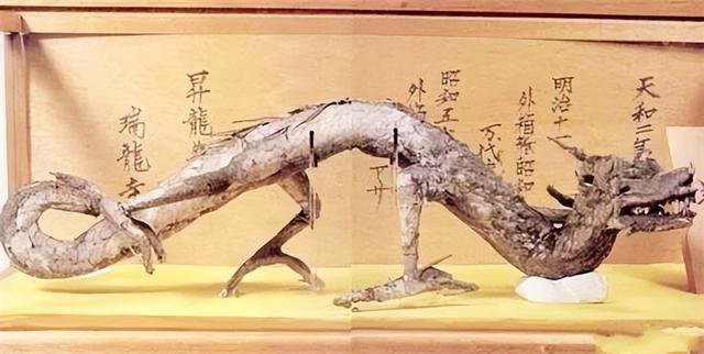 世界上真的有龙吗，世界上真的有龙吗真实视频（东北老人自称亲眼见过）