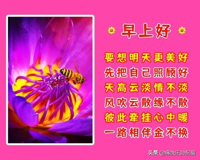 八个字的简短祝福语有哪些，八个字的祝福句子（8月8日周一早晨问好祝福语）