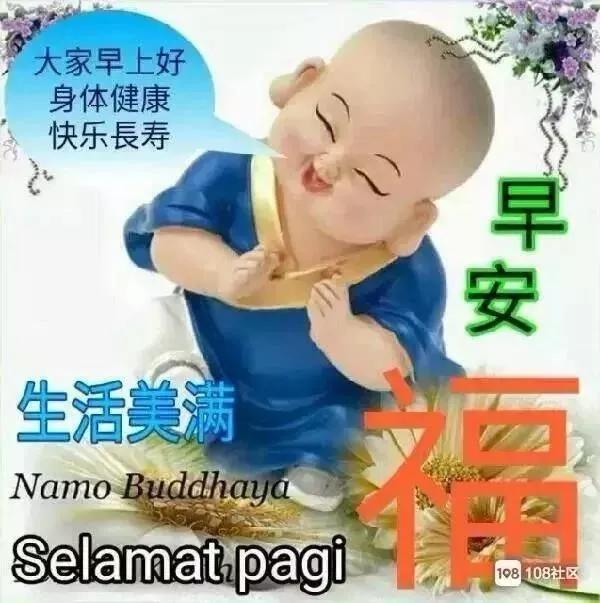 说说动态配图，动态说说图片（2022清晨早安问候动态表情图片）