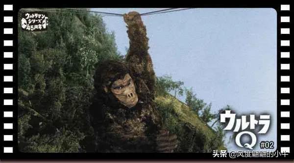 手q是什么意思，手Q是什么意思（奥特Q怪兽图鉴）