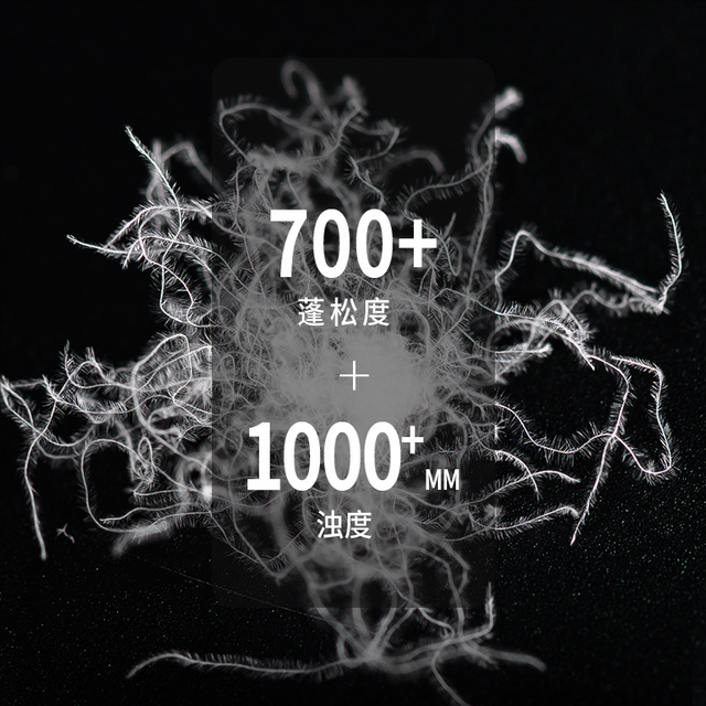 最贵的羽绒服品牌，10大奢侈羽绒服品牌是什么（别纠结了，就选这10个品牌）