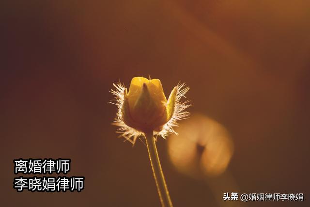 现在离婚需要什么条件和手续，现在离婚需要什么手续 和要（离婚该怎么起诉离婚）