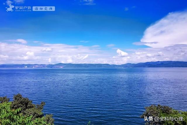 泸沽湖的海藻花几月份去最好，夏日云南美景可不止一点点