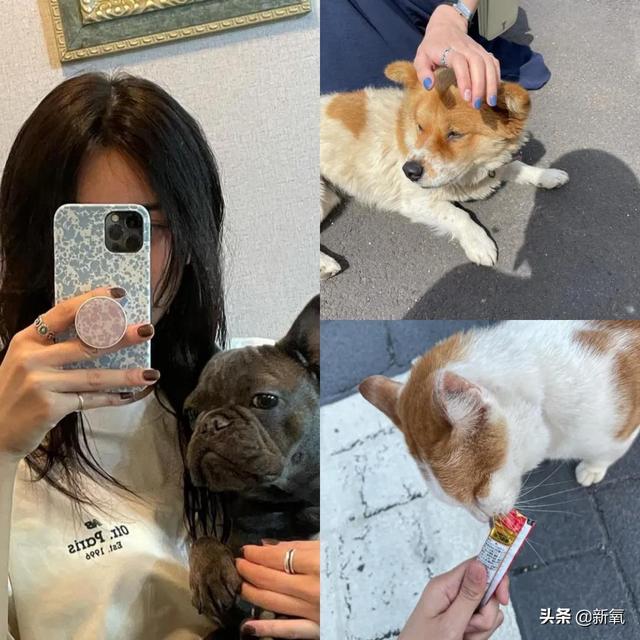 女头像ins风，精选高冷系ins风女头微信（承包韩国女生的头像大户）