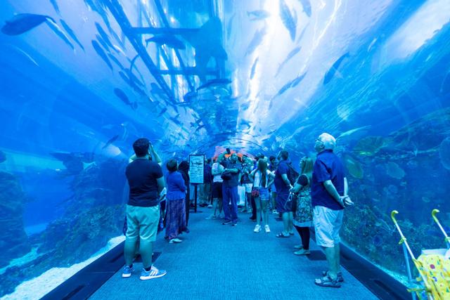 迪拜为什么那么有钱，为什么能从一片荒漠到世界最豪城市