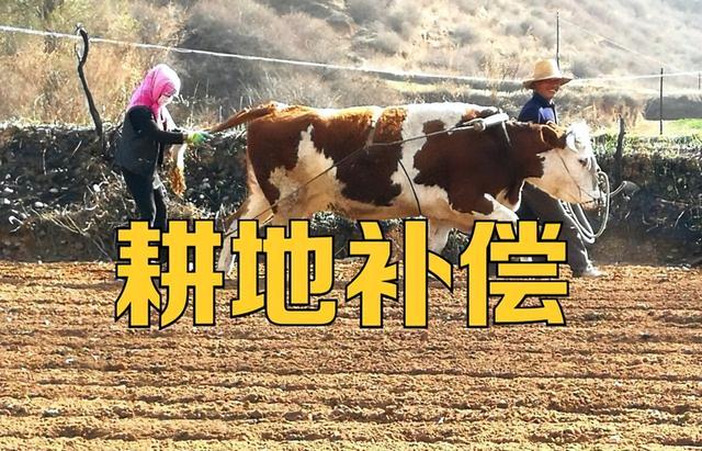 东北一垧等于多少亩地，东北地区说的一垧地是多少亩（如果不知道1亩地等于多少平米）