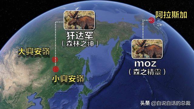 鹿血酒多少钱一瓶，鹿血酒一瓶500ml要多少钱（这是人们认为它是仙兽真正的原因）