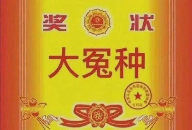 生活过得好压抑的时候怎么办，感觉生活很压抑怎么调整（止怒、止虑、止怨）