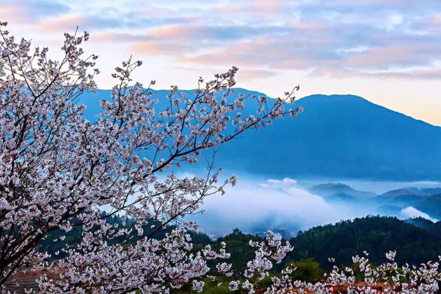 韶关丹霞山旅游攻略，韶关市最有名的旅游景点（来韶关开启徒步模式吧~）