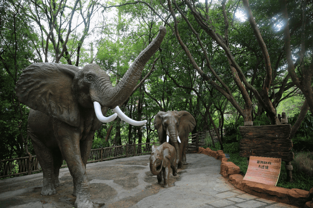 深圳世界之窗门票多少钱一张，深圳世界之窗晚上门票多少（动物园\u0026世界之窗/欢乐海岸水秀）